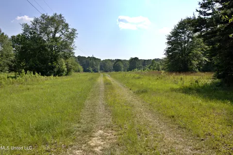 Other - 280 Lowery Rd, Sumrall, MS 39482 photo 5 of 6