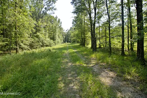 Other - 280 Lowery Rd, Sumrall, MS 39482 photo 4 of 6