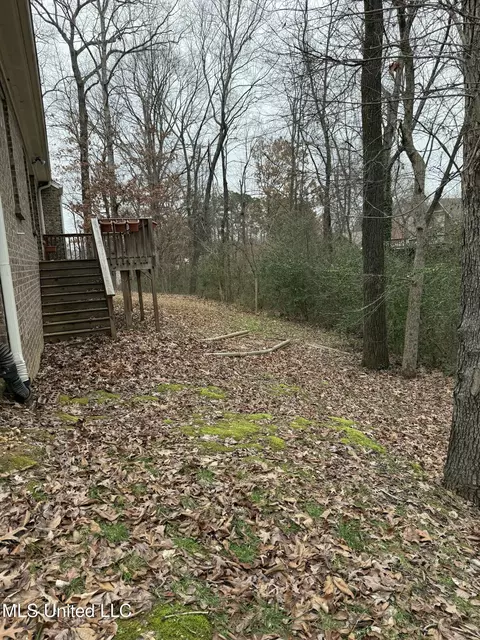 Exterior - 2070 Aspen Dr, Nesbit, MS 38651 photo 4 of 4