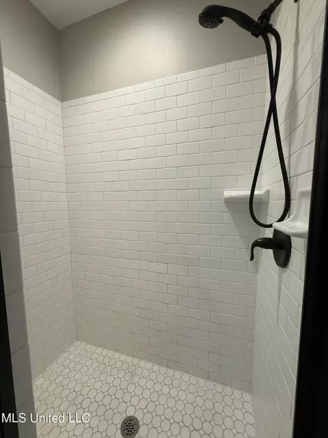 Bath - 2070 Aspen Dr, Nesbit, MS 38651 photo 3 of 5