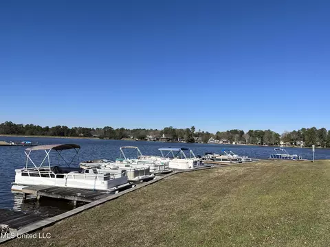 101 Rustic Ln, Carriere, MS 39426 photo 7