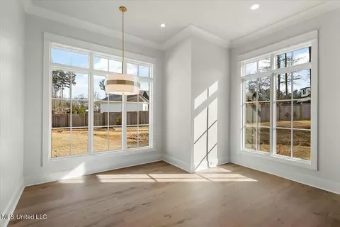 Other - 256 Ashworth Cir, Madison, MS 39110 photo 4 of 16