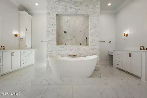 Bath - 256 Ashworth Cir, Madison, MS 39110 photo 5 of 12