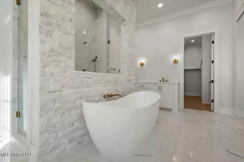 Bath - 256 Ashworth Cir, Madison, MS 39110 photo 6 of 12