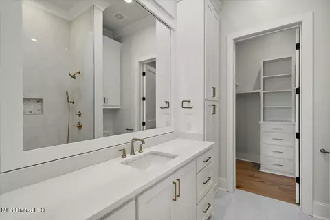 Bath - 256 Ashworth Cir, Madison, MS 39110 photo 9 of 12