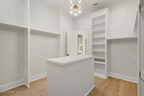 Other - 256 Ashworth Cir, Madison, MS 39110 photo 8 of 16