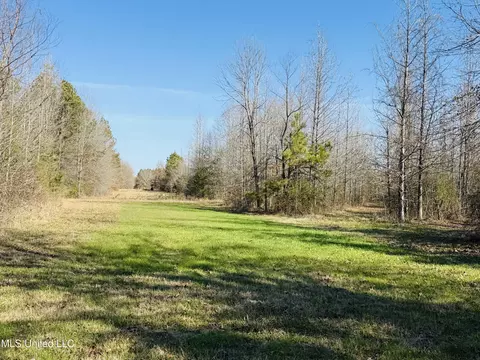 13572 Highway 51, Goodman, MS 39079 photo 39