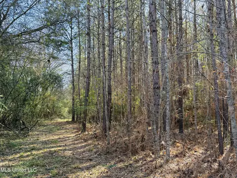 13572 Highway 51, Goodman, MS 39079 photo 29
