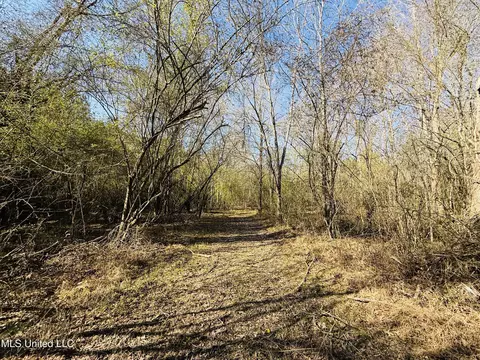 13572 Highway 51, Goodman, MS 39079 photo 40