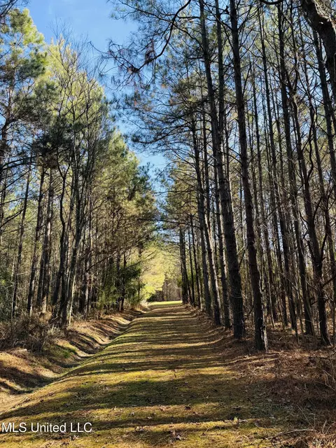 13572 Highway 51, Goodman, MS 39079 photo 52