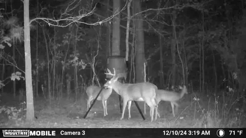 13572 Highway 51, Goodman, MS 39079 photo 11