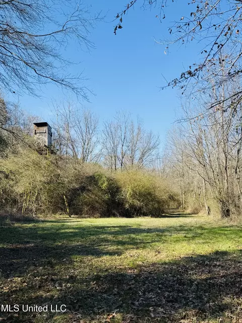 13572 Highway 51, Goodman, MS 39079 photo 37