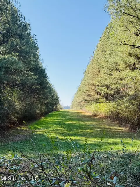 13572 Highway 51, Goodman, MS 39079 photo 38