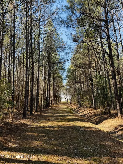 13572 Highway 51, Goodman, MS 39079 photo 18