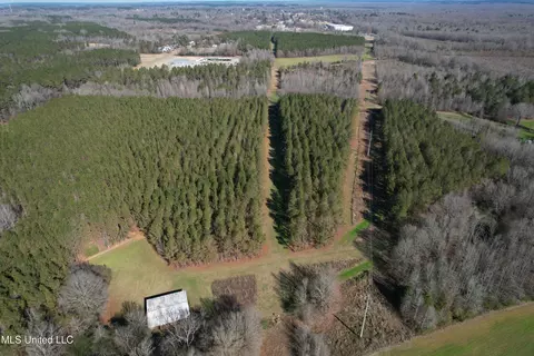 13572 Highway 51, Goodman, MS 39079 photo 3