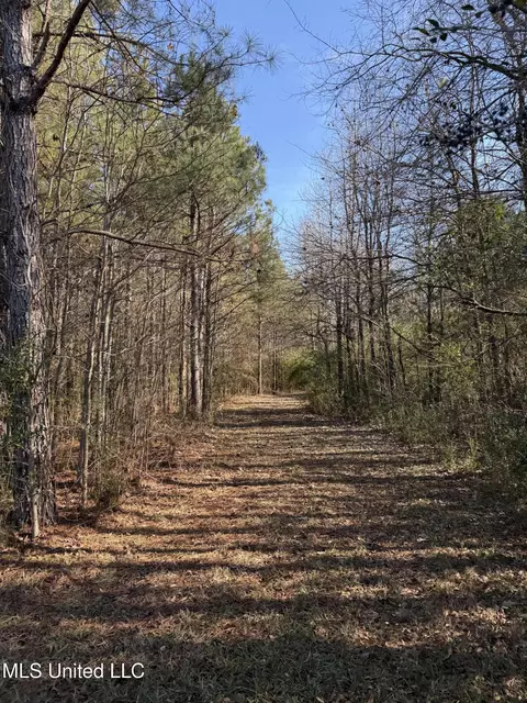 13572 Highway 51, Goodman, MS 39079 photo 46