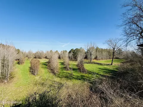 13572 Highway 51, Goodman, MS 39079 photo 49