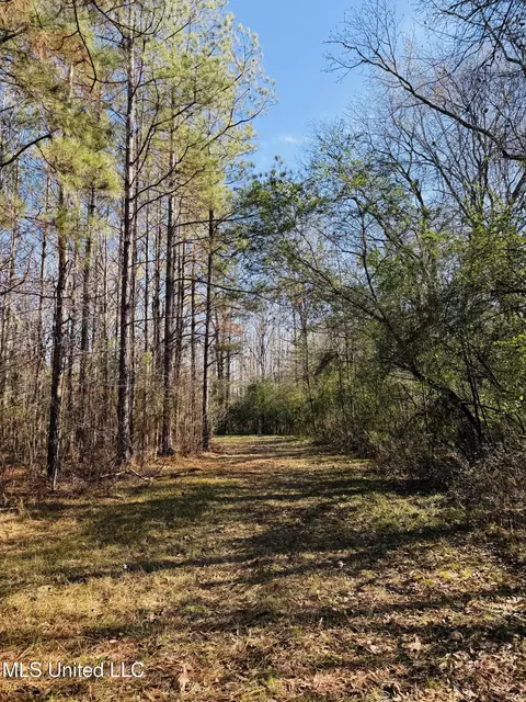 13572 Highway 51, Goodman, MS 39079 photo 47