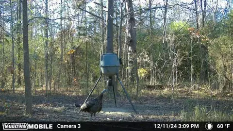 13572 Highway 51, Goodman, MS 39079 photo 12