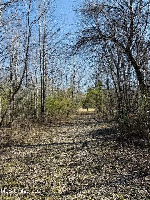 13572 Highway 51, Goodman, MS 39079 photo 36