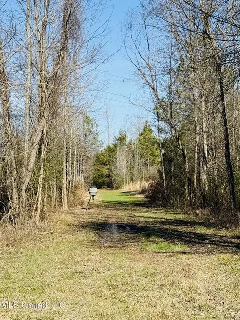 13572 Highway 51, Goodman, MS 39079 photo 50
