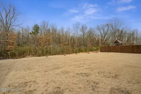 9626 Crape Myrtle Dr, Olive Branch, MS 38654 photo 30