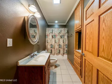 Bath - 385 Pine Grove Rd, Magee, MS 39111 photo 1 of 3