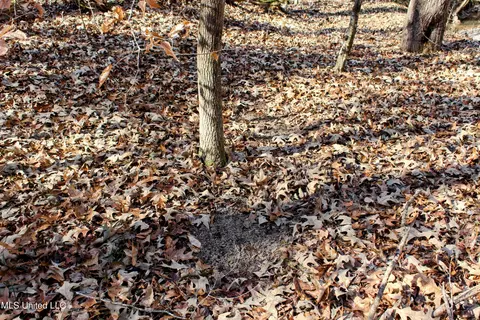 tbd Cr 493, Paris, MS 38949 photo 13
