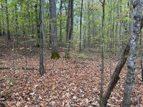tbd Cr 493, Paris, MS 38949 photo 7