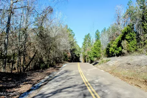 tbd Cr 493, Paris, MS 38949 photo 9