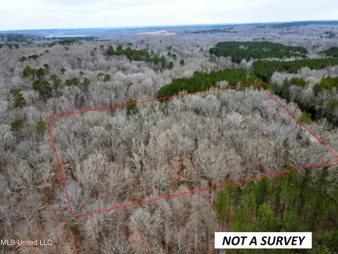 tbd Cr 493, Paris, MS 38949 photo 2
