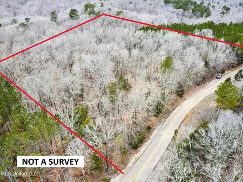 tbd Cr 493, Paris, MS 38949