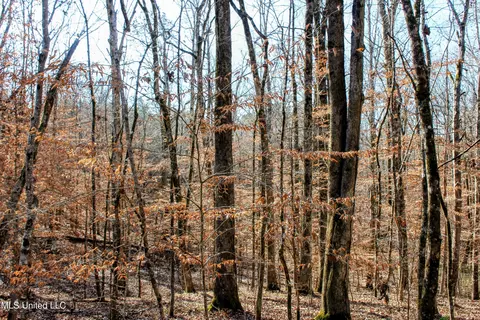 tbd Cr 493, Paris, MS 38949 photo 14