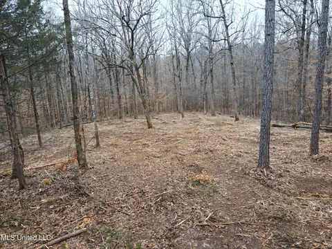tbd Cr 493, Paris, MS 38949 photo 3