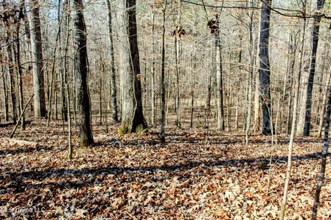 tbd Cr 493, Paris, MS 38949 photo 8