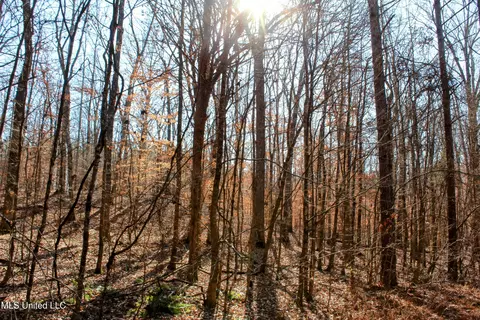 tbd Cr 493, Paris, MS 38949 photo 15