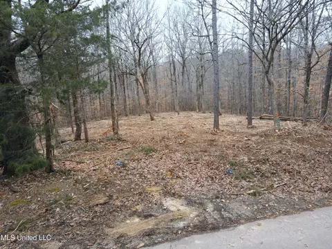 tbd Cr 493, Paris, MS 38949 photo 12