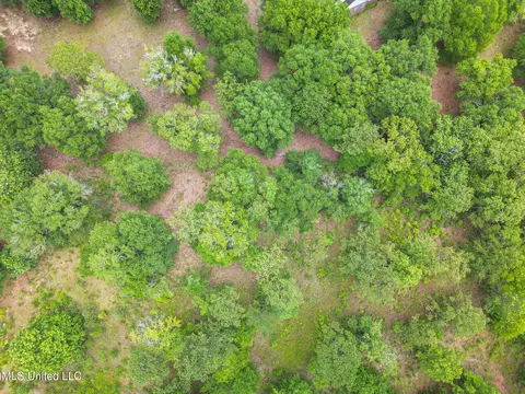 River Place Drive, Vancleave, MS 39565 photo 9
