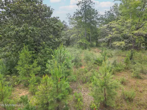 River Place Drive, Vancleave, MS 39565 photo 3
