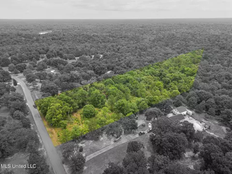 River Place Drive, Vancleave, MS 39565 photo 2