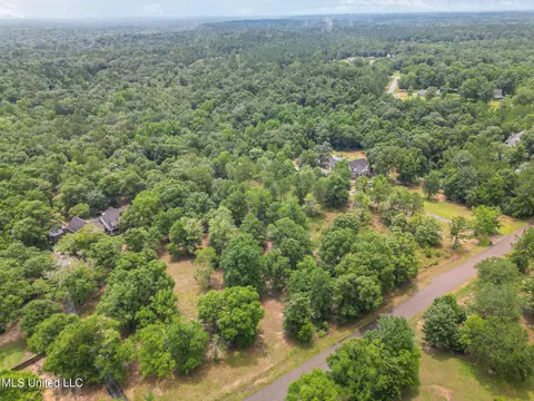 River Place Drive, Vancleave, MS 39565 photo 5