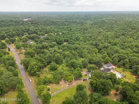 River Place Drive, Vancleave, MS 39565 photo 7