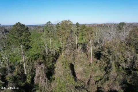 Ms-35, Mize, MS 39116 photo 5