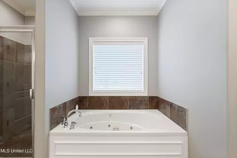 Bath - 1462 Banbury Ln, Hernando, MS 38632 photo 1 of 2