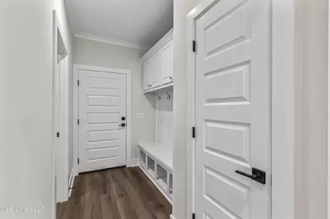 Entry Way - 105 Lewis Farms Dr, Madison, MS 39110 photo 3 of 5