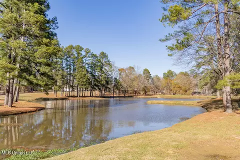 View/Area - 504 Arbor Dr, Madison, MS 39110 photo 1 of 2