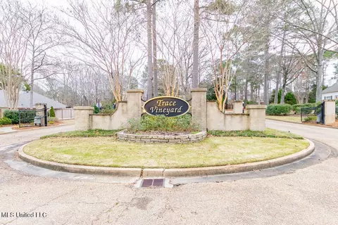 Exterior - 504 Arbor Dr, Madison, MS 39110 photo 8 of 9