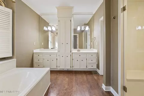 Bath - 317 Kee Ct, Madison, MS 39110 photo 1 of 5