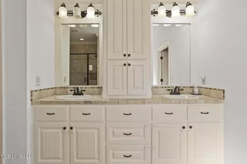 Bath - 202 Amethyst Dr, Brandon, MS 39047 photo 1 of 3