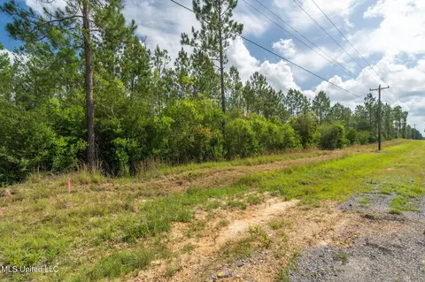 Herman Ladner Road, Saucier, MS 39574 photo 5